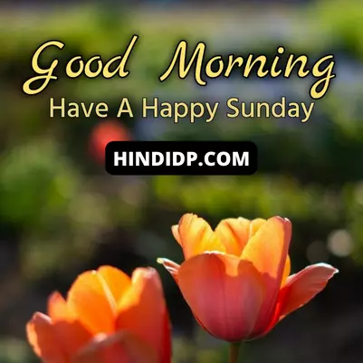 happy sunday good morning