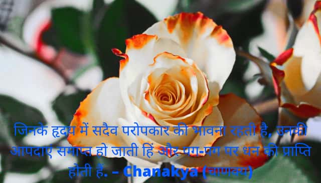 Goodness Quotes in Hindi