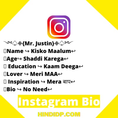 Bio For Instagram For Boy Attitude In Hindi