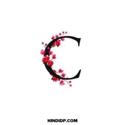 c name dp download