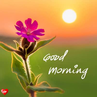 good morning images hd