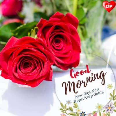 good morning rose images