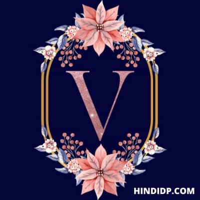 h and v name dp