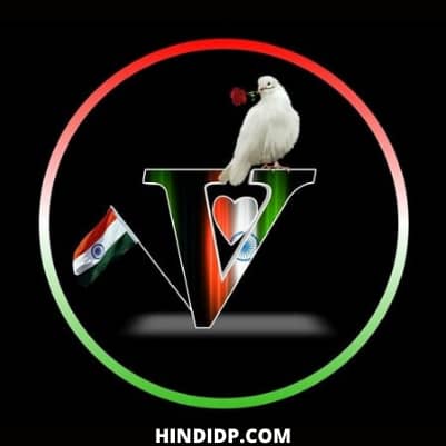 n and v name dp