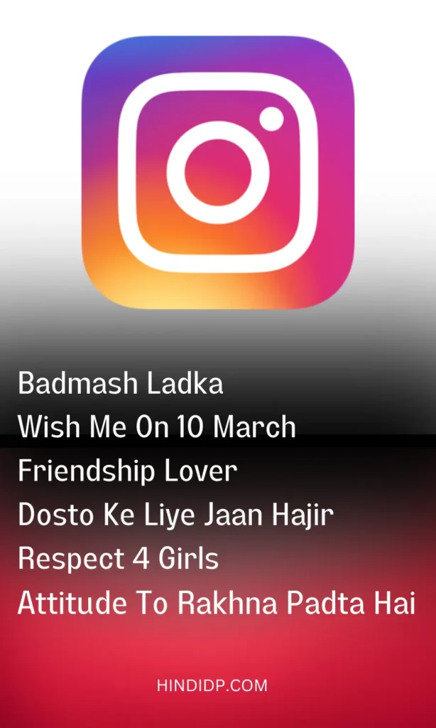 Best & Latest Instagram Bio In Hindi